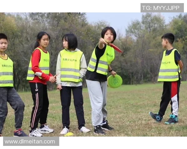 北京飞盘队运营分析：成功经验与面临挑战的深度探讨