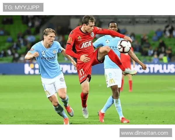 澳超精彩对决惠灵顿凤凰迎战墨尔本城争夺胜利荣耀